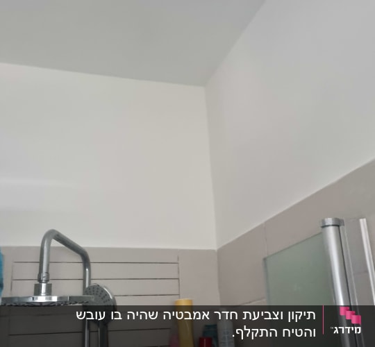חדר אמבטיה עם מקלחת וקירות צבועים